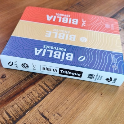 image_98affbba-ced6-4b1a-9c76-bedc4ac08c13