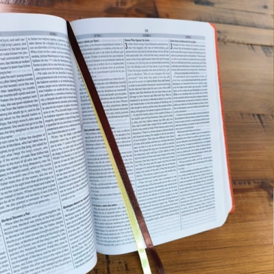 image_d0189974-f3e0-4507-b6ad-d45463910136