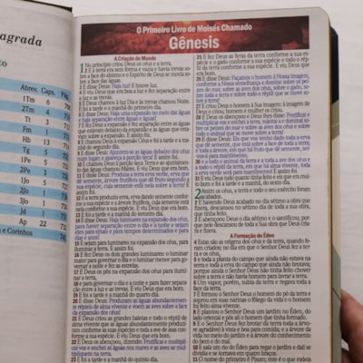 image_f65a3fe9-f636-4724-aedf-ec8d9b5736f3