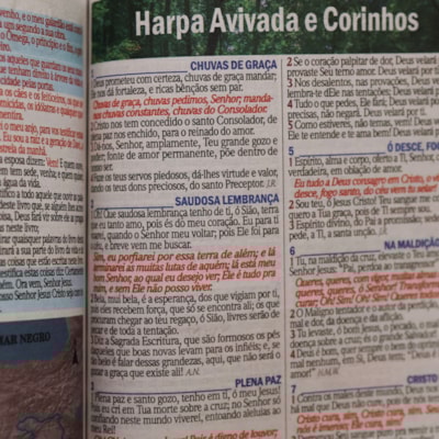 image_53e5ccc7-8f4b-47f5-8299-21be5b33399a