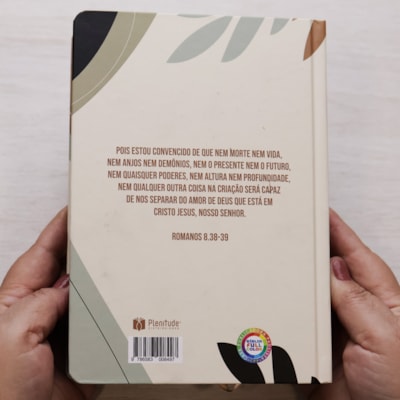 image_e999d341-677f-4b22-8068-102e85e8f149