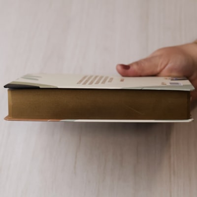 image_c9280e54-232b-4209-a35b-e1367bc388a4