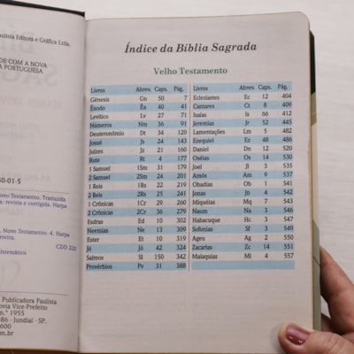 image_a8d10f2a-f6c8-4a1c-aeba-c599435ecc17