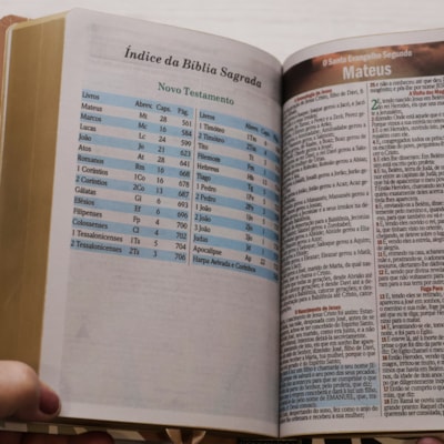 image_cb6d468b-b3ba-41eb-b8af-0dc377374423