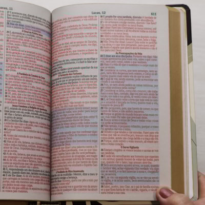 image_621fcabe-0652-493f-be62-6f9261fab126