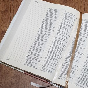 Bíblia Sagrada Nada Será Capaz  | NVI | Capa Dura com Espaço para Anotações