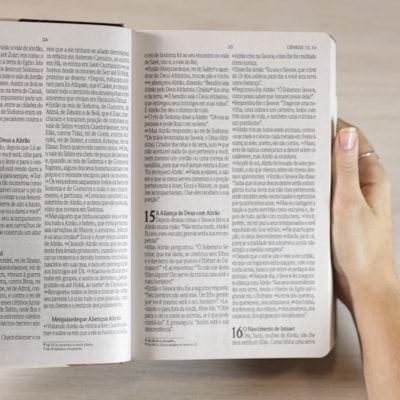 image_c95facf2-6ed6-457a-8fe4-98112ace7779