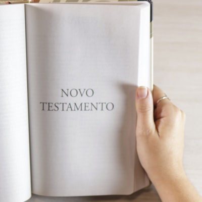 image_5e8d513e-d3df-4adb-aa7c-15cf89508655