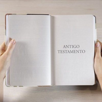 image_6b8e8d92-3d85-43e5-8615-cc3e4d3c8751