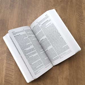 Bíblia Sagrada Nada Será Capaz | NVI | Letra Normal | Capa Brochura
