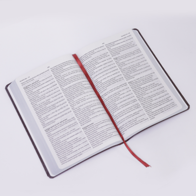 image_70461b4c-2719-4cde-b3bf-befcac2a47c8