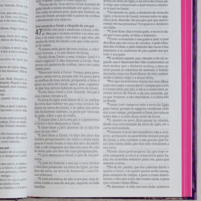 image_827eb808-003e-439d-bcbf-08d5292d8a80