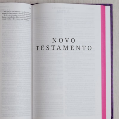 image_e115c6b3-41d9-46d4-b92c-f75271294481