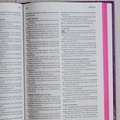 image_33731613-4ced-487f-96ff-92e7a579fcbb