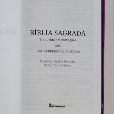 image_f31a25db-902e-4e9c-8b56-9655ec73614a