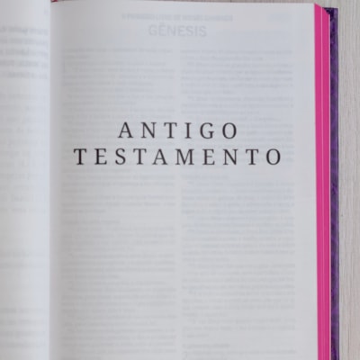 image_a4eae68c-14c4-4003-bb58-ed3d761cc79d