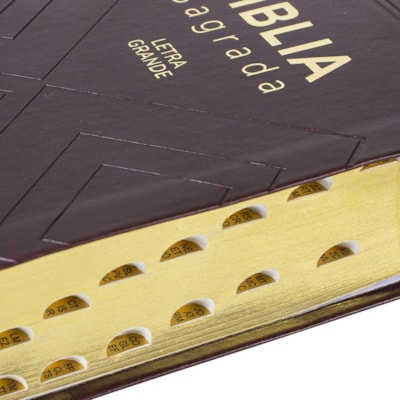 image_f143bd4c-3baf-4c06-b5ab-60dfdf4812ef