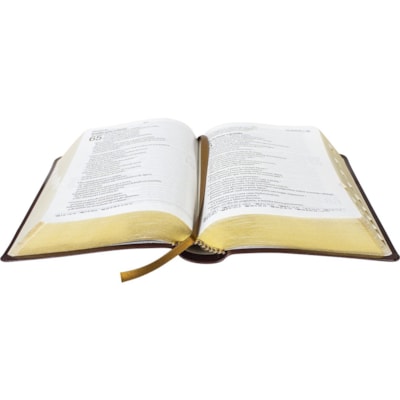 image_0d099633-547f-4676-85f0-31265c51acfc