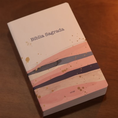 image_328d9f0f-d26c-4e02-9713-19d1a387fe03