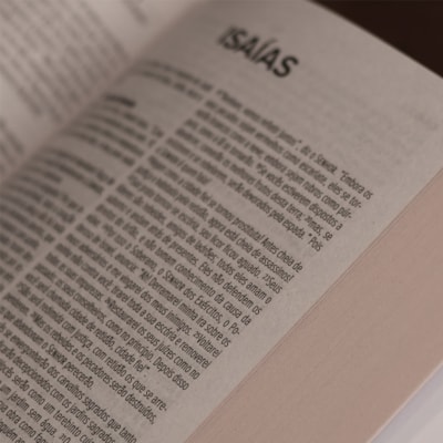 image_b3b17867-0927-4005-b388-6ca3a76b133e