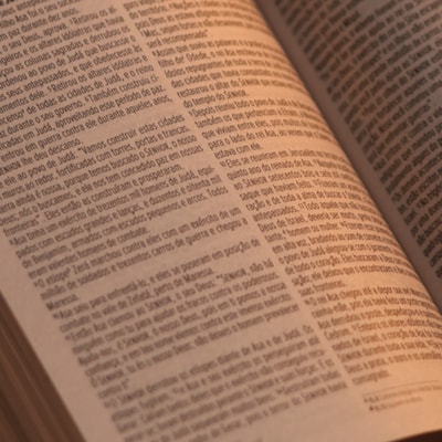 image_1ce97dba-b55c-4730-93ad-ed1499bb918d