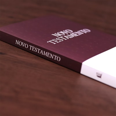 image_cfdf8d1b-df2a-47ae-b6f5-adb348e0ee39