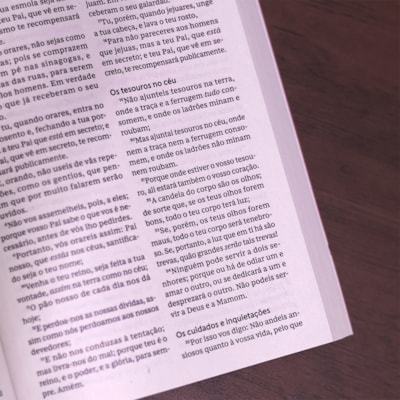 image_c3095c3c-8cf7-42d5-b5f1-fc4dc76e3ca1