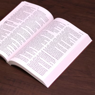 image_db83a296-35b7-43c6-a207-271623d54fd5