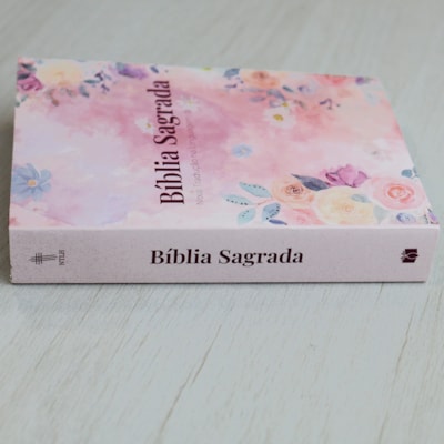 image_5f01abcf-2800-4341-a185-b75989b5603e