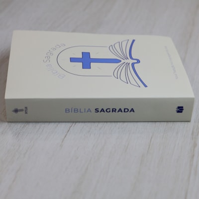 image_9055d007-82e0-4d63-b3d1-4f5f63a3e5f2