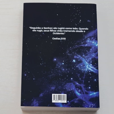 image_b3d8dd0c-da00-4dd3-926d-f0ac131f3b44