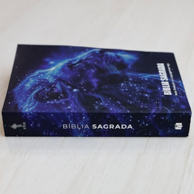 image_2cfadb6f-44da-4ed8-9a31-9547186256b8