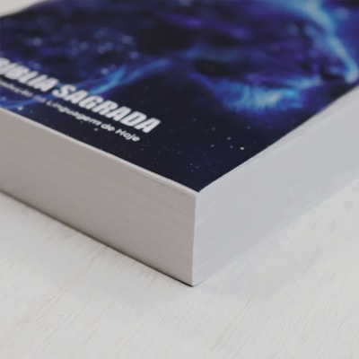 image_26925035-a2e9-40dc-b682-23ff28dae1dc