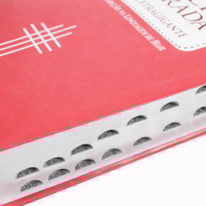 Segunda imagem do produto Bíblia Sagrada | NTLH | Letra Extragigante | Capa Pêssego C/ Índice