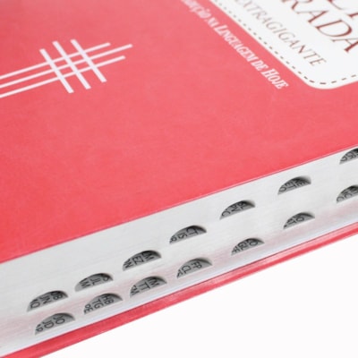 image_df0464c0-88dc-4f25-b630-d3a925c5668f