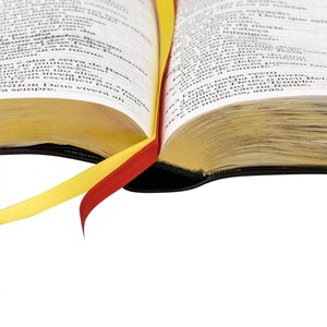 Bíblia Sagrada | NTLH | Letra Extragigante | NTLH | Capa Luxo Preta
