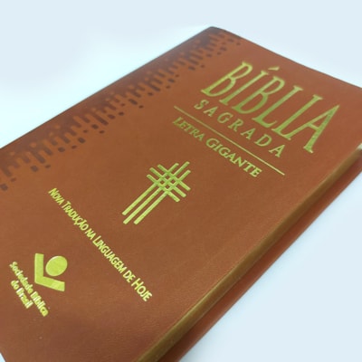 image_bd7ce9a1-f83d-4714-b9c1-1636dc8a26cf