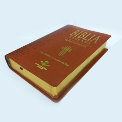 image_884ea775-f974-45cb-b95c-af03261a118c