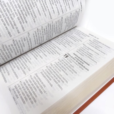 image_3d5e1e98-2883-41a4-a864-2f59d6f25fd5