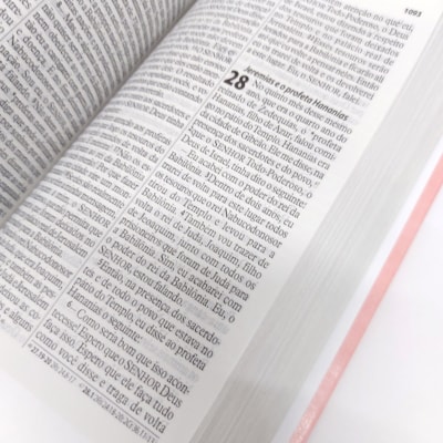 image_091276f2-280d-453f-8d2a-58e89a35a39e