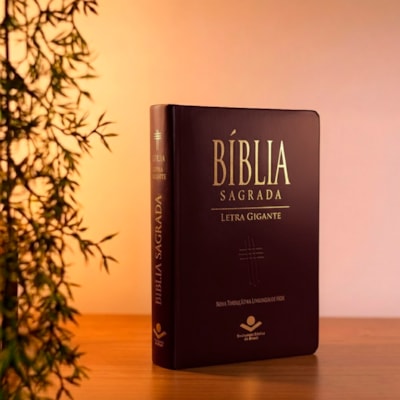 Segunda imagem do produto Bíblia Sagrada | NTLH | Letra Gigante | Com Índice | Capa Marrom Nobre