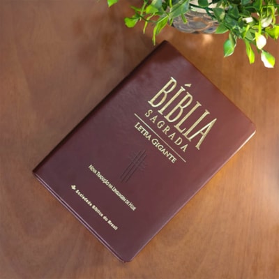 image_0ec82557-fbed-4acc-b1a8-31b68e5fb6db