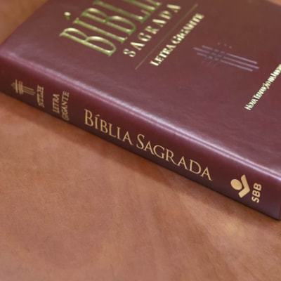 image_fbd7b7fc-28b3-45c3-b2d7-c8682f768332