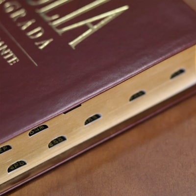 image_6ad42b11-477d-4d0d-ba44-0d00f8b2b7b2