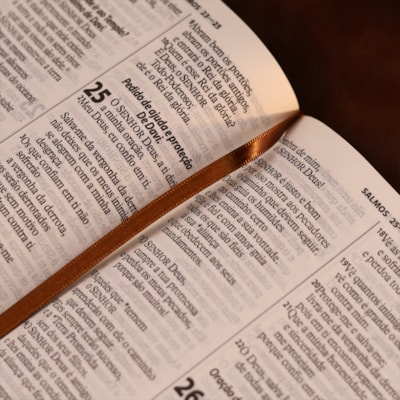 image_5ee264f6-5050-4629-a666-aac3651d22d5