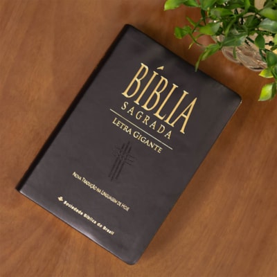 image_c146f470-f880-4766-8d2b-d645bf907d88