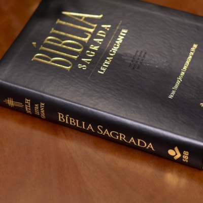 image_f029e72f-af36-4ac9-9fda-3e835371b9d2