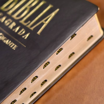 image_e66a3b64-1397-44c5-b915-865d71234e7e