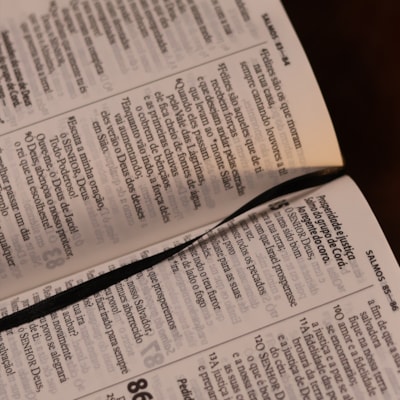 image_1213e35a-caa7-4dd2-83ed-e74ad1b92edc