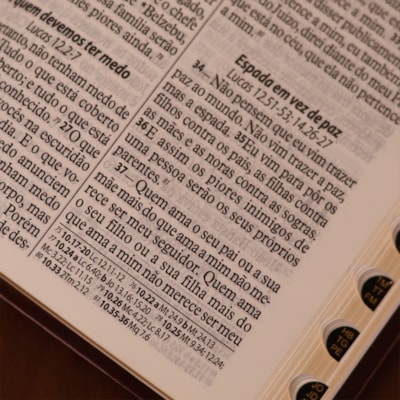 image_7553873a-ba1c-4fe9-bf1b-08d801fa10a8